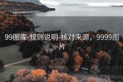 99图库-规则说明-核对来源，9999图片